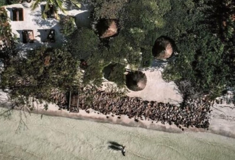 酒店 Casa Punta Coco & Beach Club