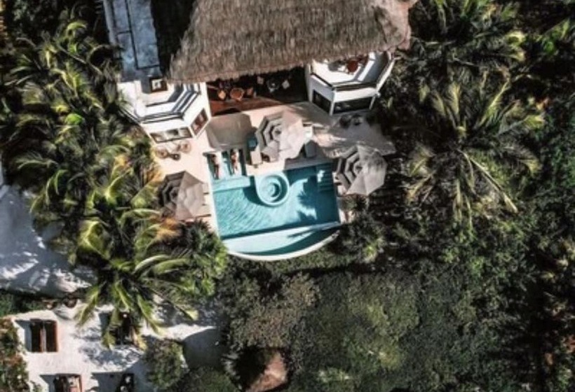 酒店 Casa Punta Coco & Beach Club