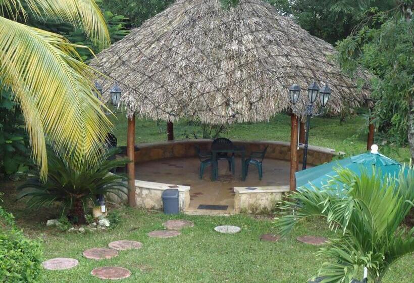 ホテル Cozumel Costa Brava