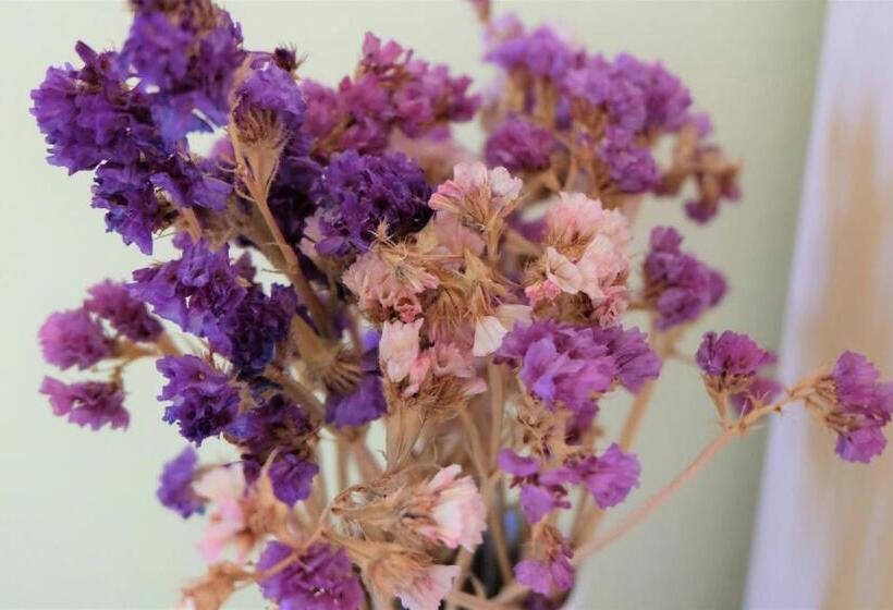 בית מלון כפרי Hostel Il Tetto