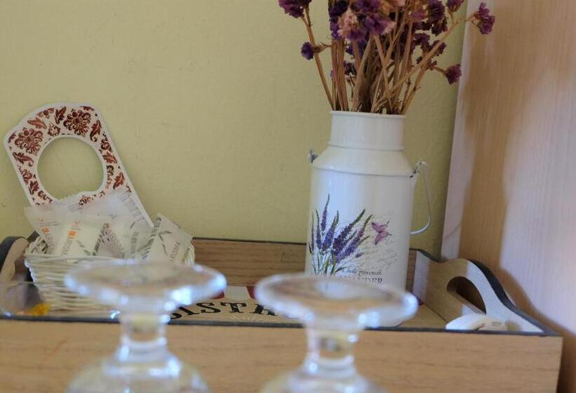 فندق Hostel Il Tetto