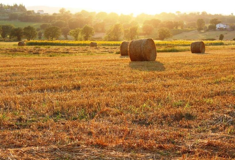 בית מלון כפרי Le Case