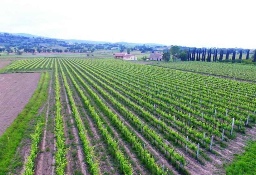 בית מלון כפרי Le Case