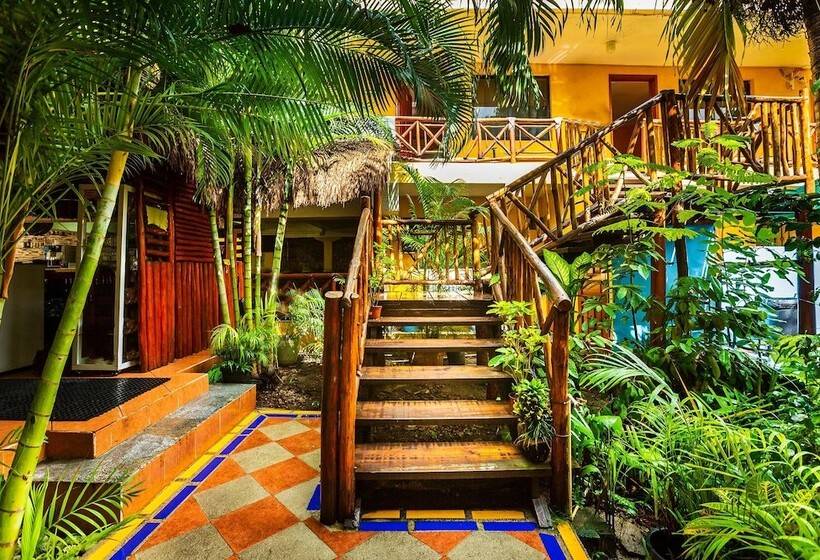 فندق Oyo  Playa Del Carmen