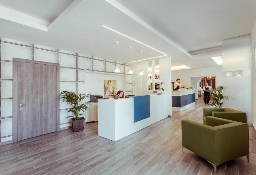 Отель Stella Del Benaco