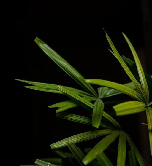 هتل The Postcard Mandalay Hall, Kochi