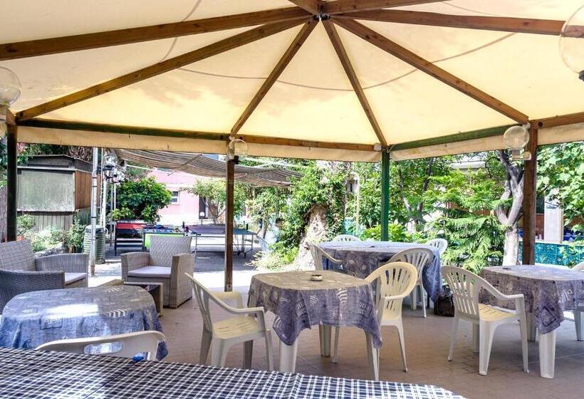 فندق Villa Flora