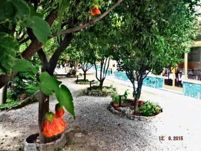 בית מלון כפרי Villa Flora