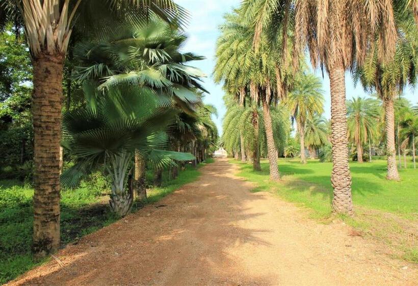 Lopburi Palm Resort