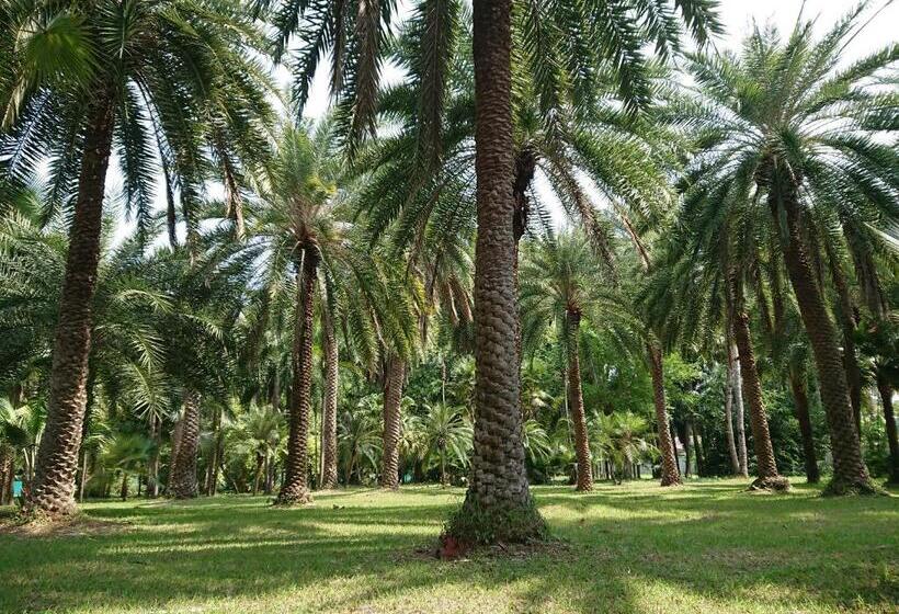 Lopburi Palm Resort