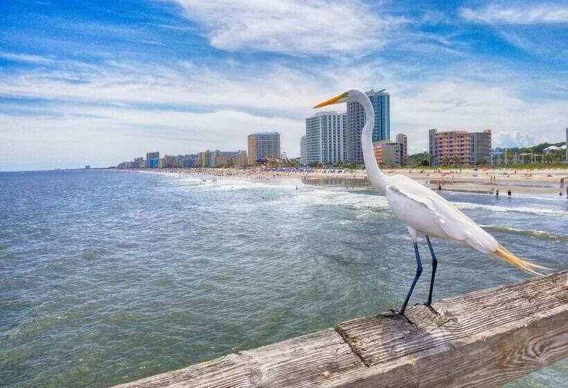 Ocean Front Corner Unit