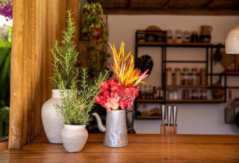 پانسیون Casa E Pousada Alecrim