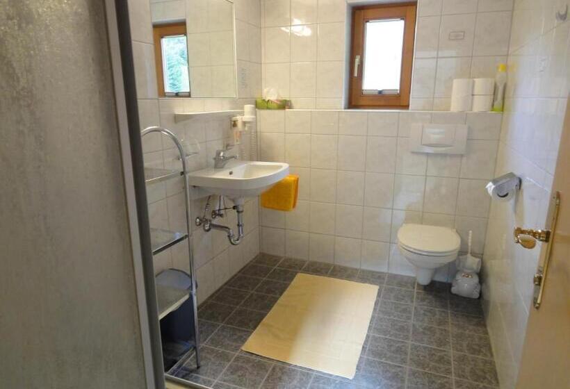 بنسيون Haus Gfall