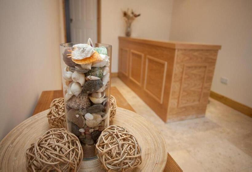 پانسیون Holly Lodge