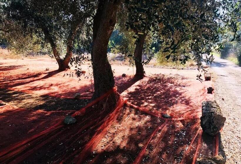 膳宿费 Le Stanze Del Sole