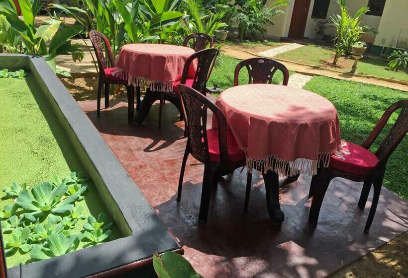 Pension Lemon Garden