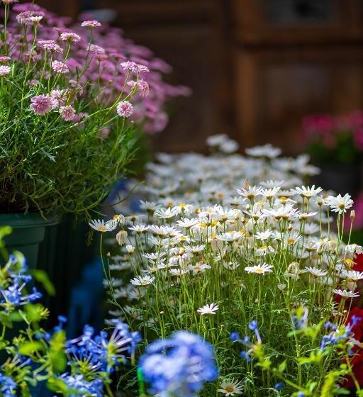 膳宿费 Lijiang Gui Yuan Tian Ju Guesthouse