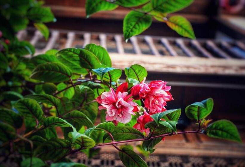 膳宿费 Lijiang Gui Yuan Tian Ju Guesthouse