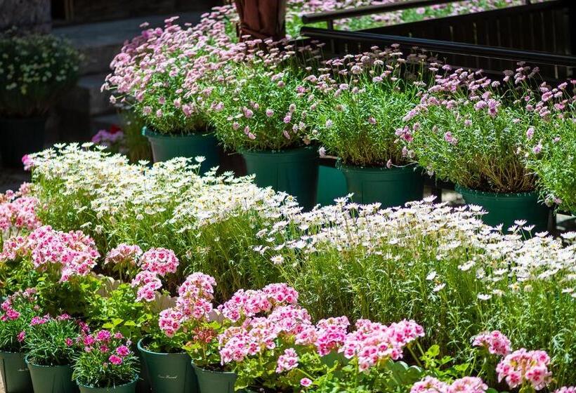 膳宿费 Lijiang Gui Yuan Tian Ju Guesthouse