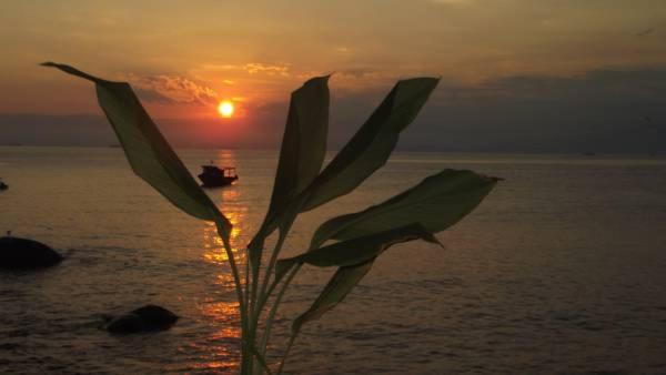 פנסיון Pousada Gabriel