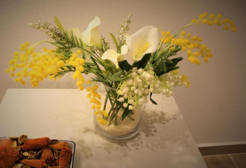 بنسيون Real Rooms