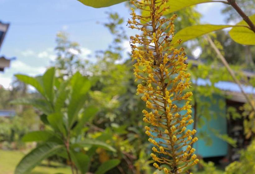 ペンション Suan Nai Kokut Resort