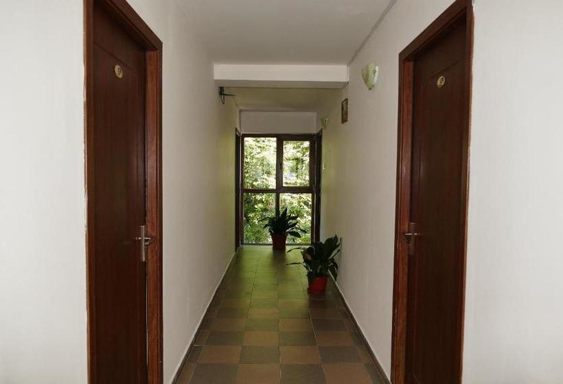 Pensiunea Pinul Negru