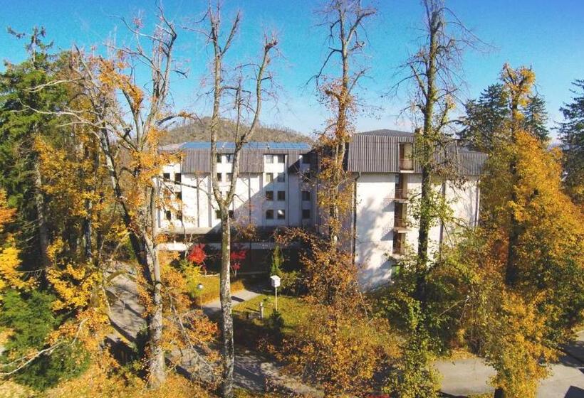 Youth Hostel Proteus Postojna