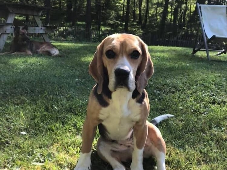 住宿加早餐 Domaine De La Juranvillerie, Gîte Et Chambres D Hôtes