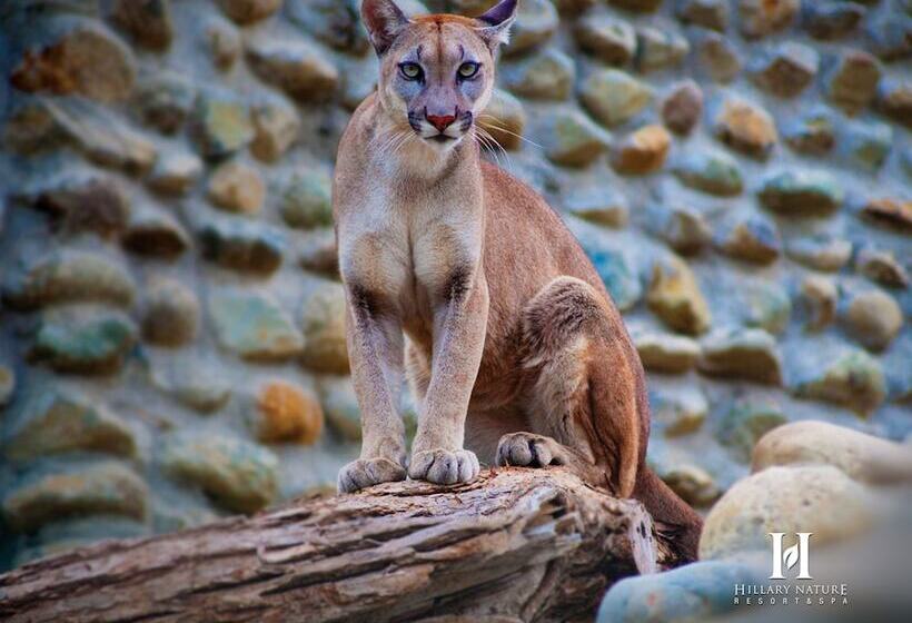 Hillary Nature Resort Spa