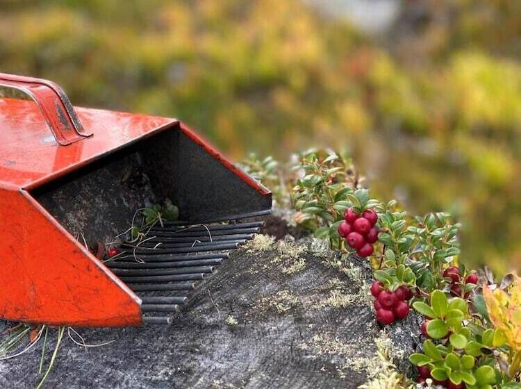 בית מלון כפרי Klövsjöfjäll