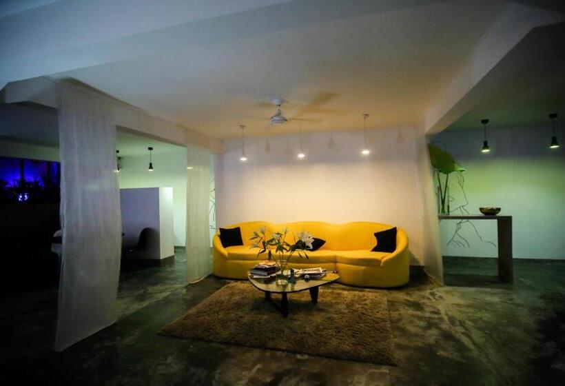 צימר Arthur & Paul