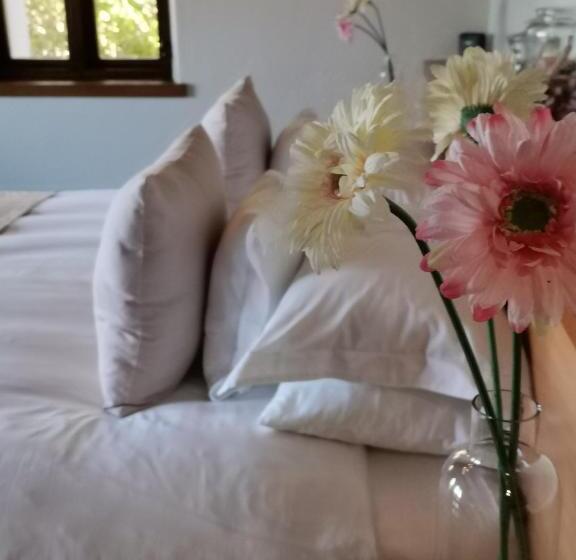 민박 Paradise Cove