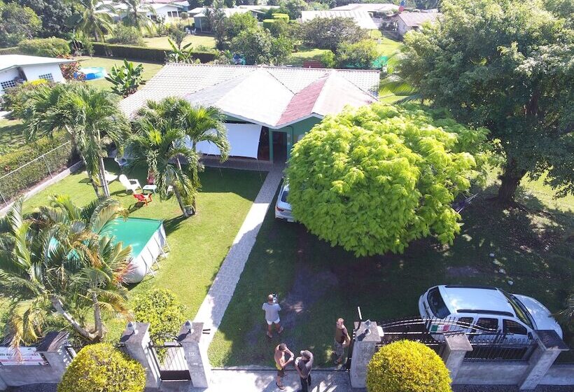 酒店 Bed And Breakfast Little Italy