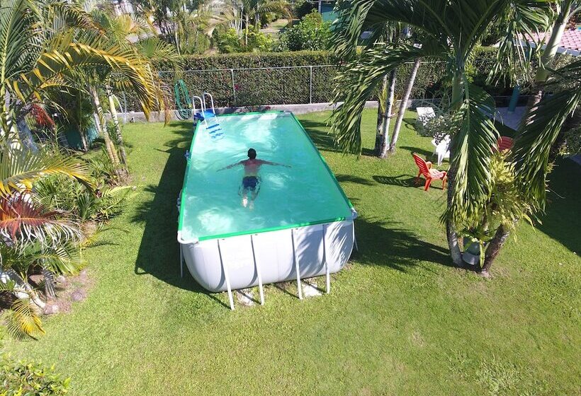 酒店 Bed And Breakfast Little Italy