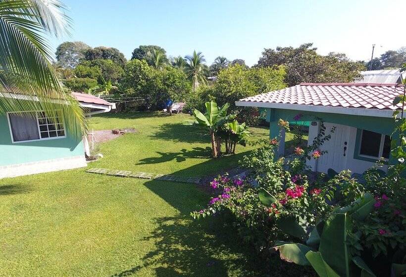 酒店 Bed And Breakfast Little Italy