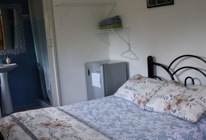 酒店 Bed And Breakfast Little Italy