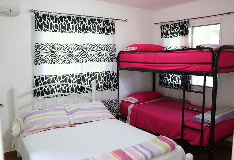 酒店 Bed And Breakfast Little Italy