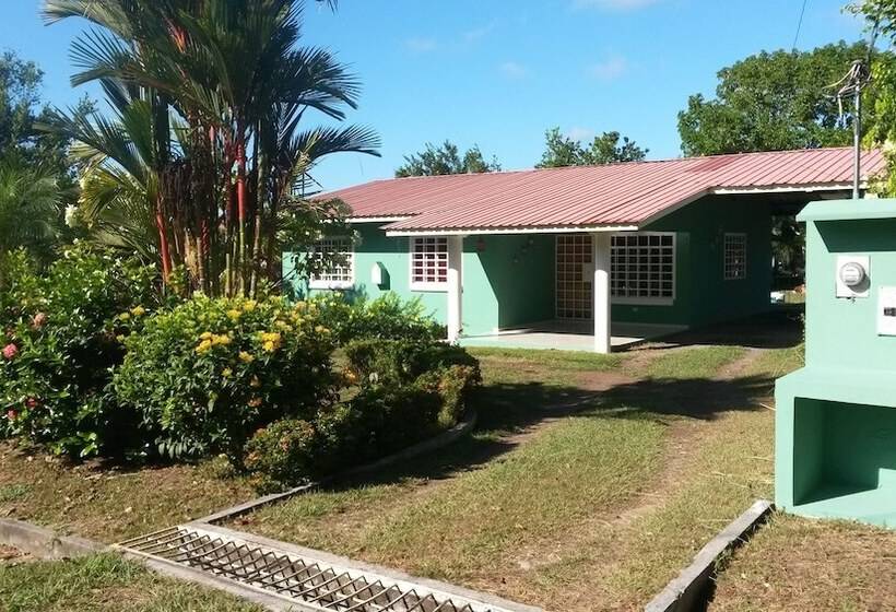 酒店 Bed And Breakfast Little Italy