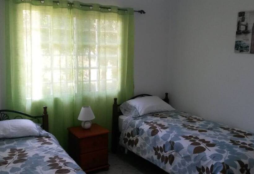 酒店 Bed And Breakfast Little Italy