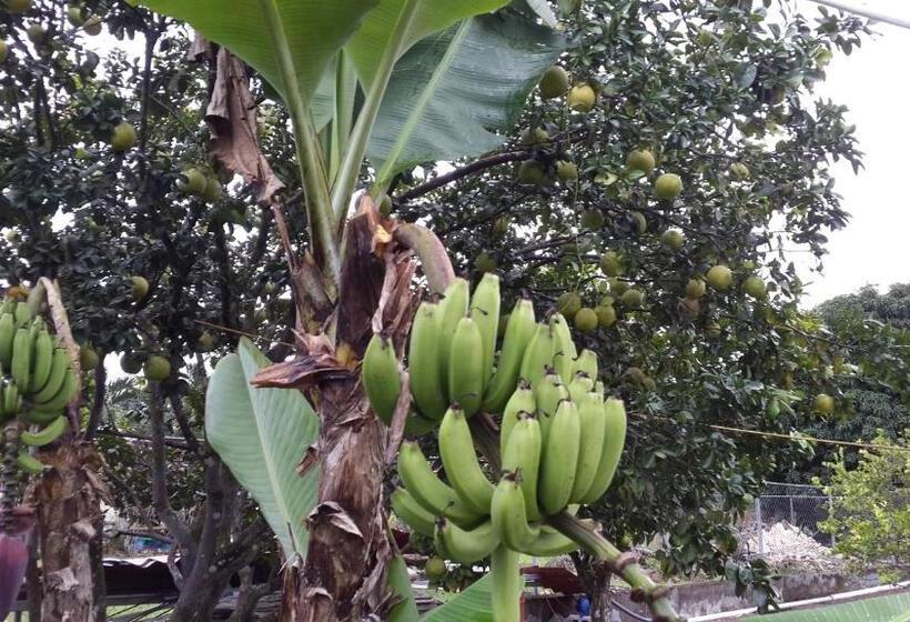 酒店 Bed And Breakfast Little Italy