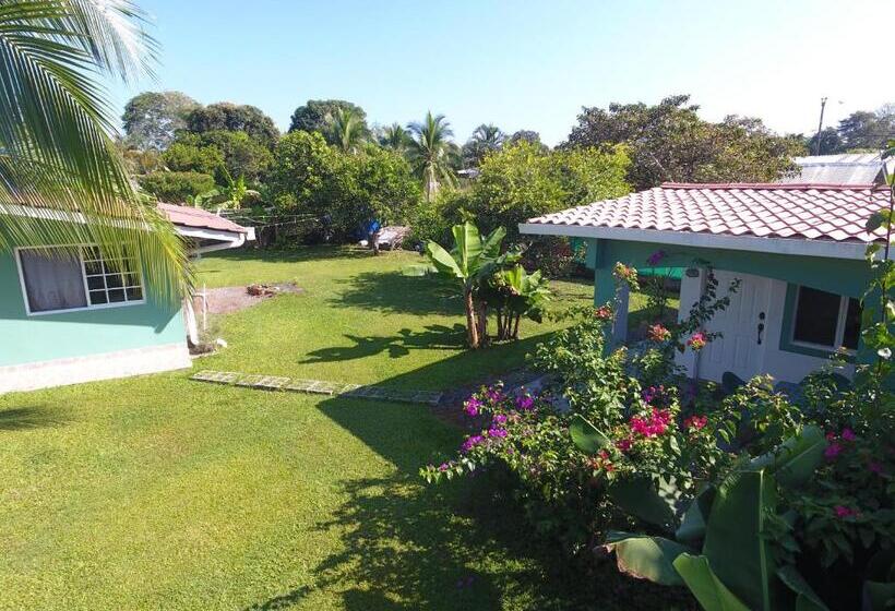 酒店 Bed And Breakfast Little Italy