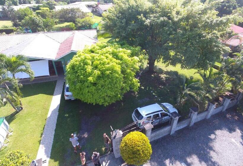 酒店 Bed And Breakfast Little Italy