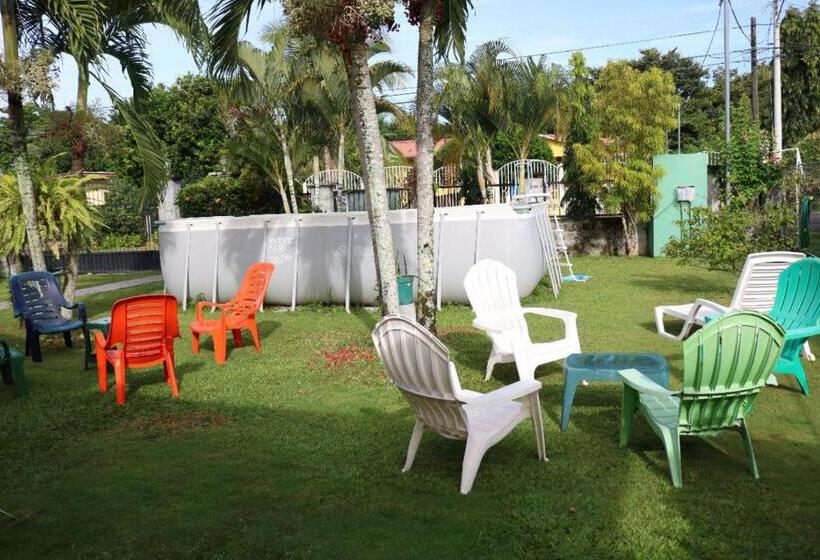 酒店 Bed And Breakfast Little Italy