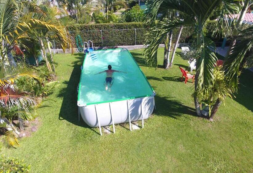 酒店 Bed And Breakfast Little Italy