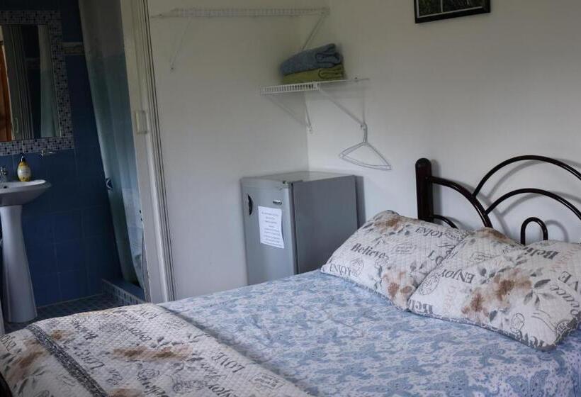 酒店 Bed And Breakfast Little Italy