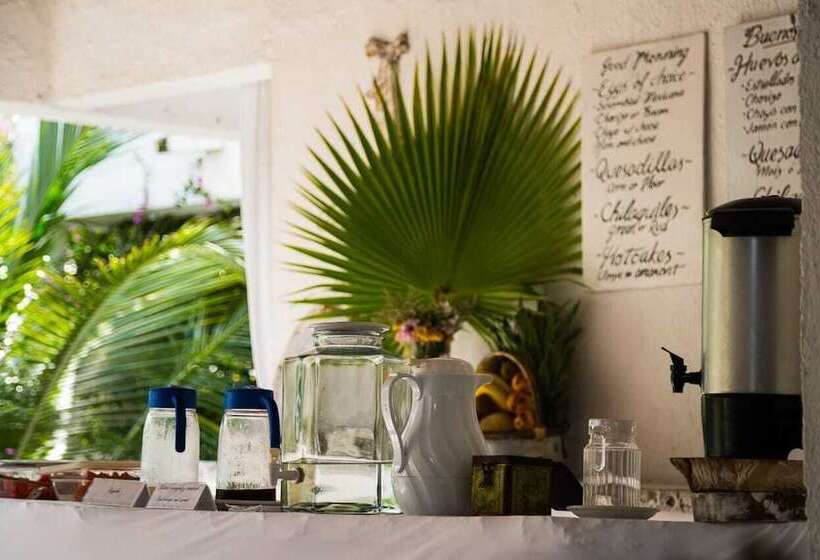 Casa Del Viento By óol Hotels