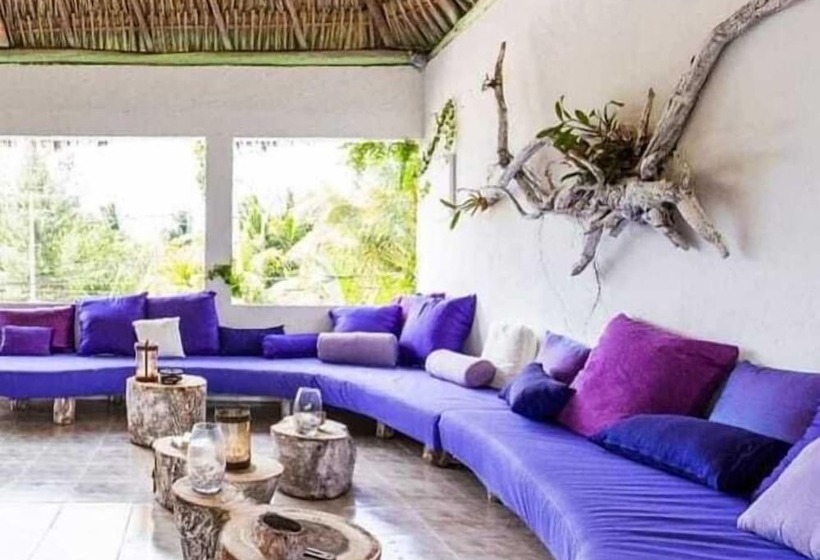 Casa Del Viento By óol Hotels