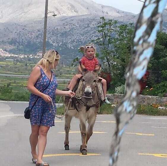 Отель Dionysus Lasithi Plateau