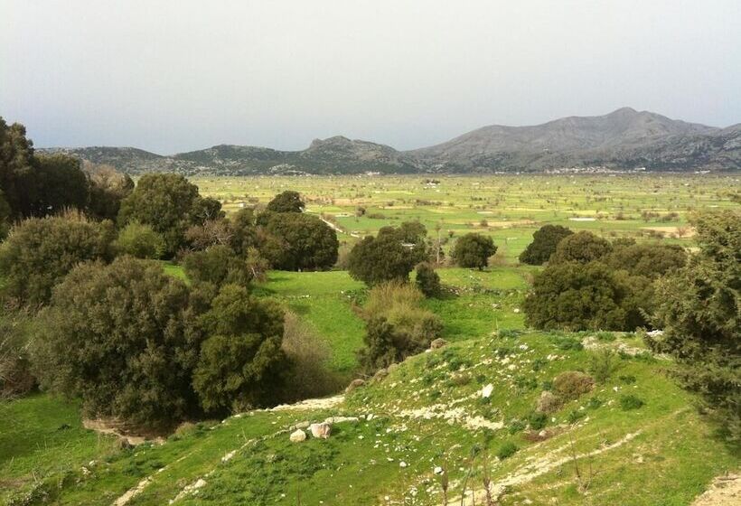 Отель Dionysus Lasithi Plateau